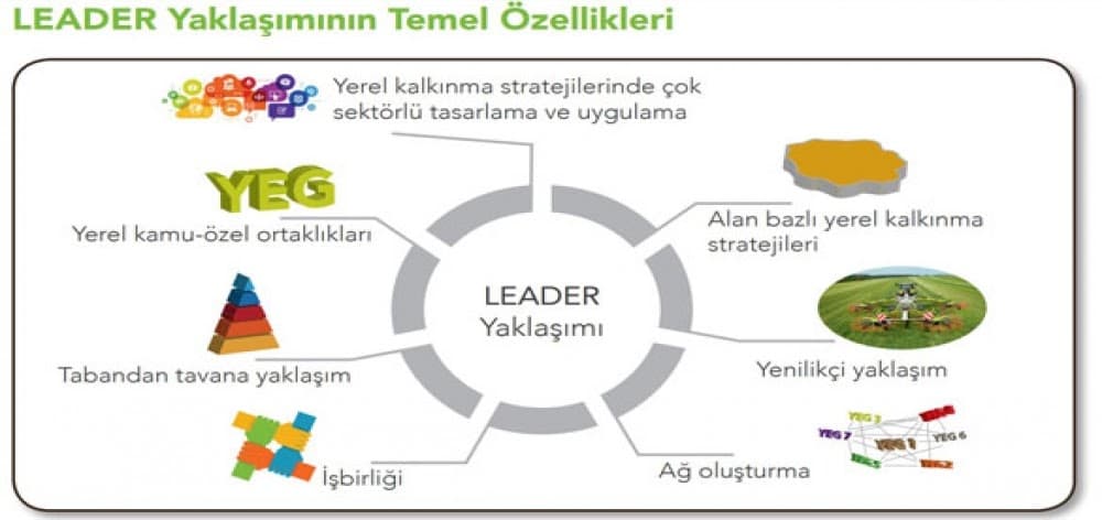 LEADER YAKLAŞIMININ TEMEL ÖZELLİKLERİ